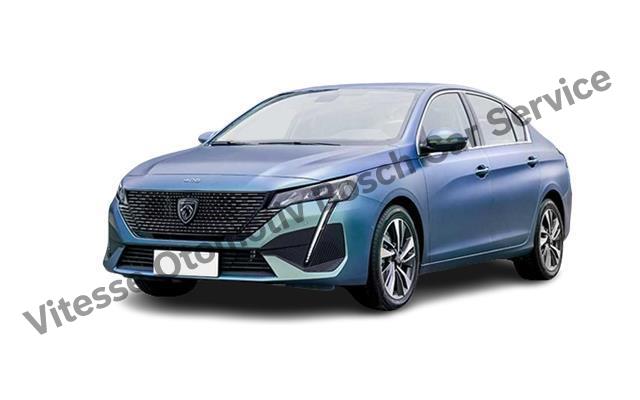 Ankara Peugeot Servisi Bakım Hizmetleri